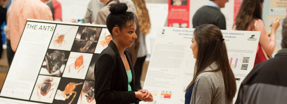 student research banner